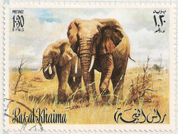 Ras al Khaima No no.5 i106