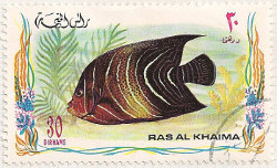 Ras al Khaima No no.6 i92