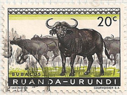 Ruanda Urundi 204 i103