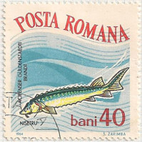Rumania 3149 i87