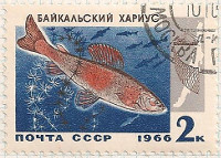 Russia 3332 i43
