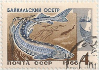 Russia 3333 i43