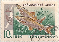 Russia 3335 i43
