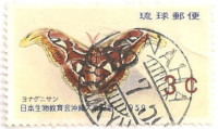 Ryuku-Islands-74-AI31
