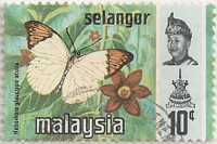 Selangor-150-AF20
