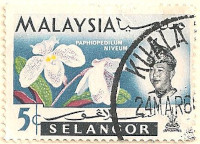 Selangor-138-AK38