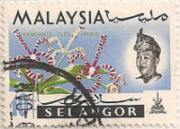 Selangor 140 i6