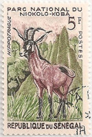 Senegal-228-AB97