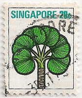 Singapore-216-AE50