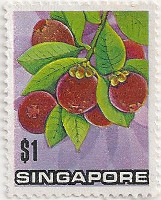 Singapore-221-AE49
