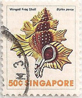 Singapore-296-AE50
