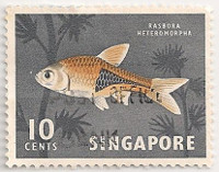 Singapore-69-AE45