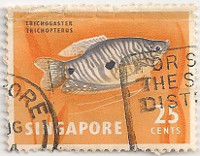 Singapore-72-AE43