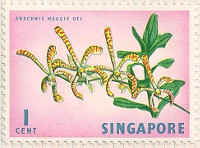 Singapore 63 i50