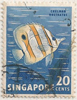 Singapore 71 i51