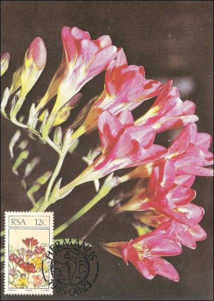 SA-Postcard-1985-No-3-T8
