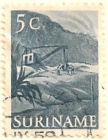 Suriname-409-AK43