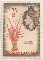 Tristan da Cunha 14 i81