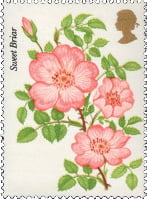 Great Britain Roses Error Stamp
