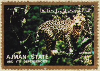 Ajman-No-Ref-AP138.1