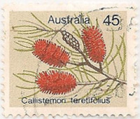 Australia-609-AA8