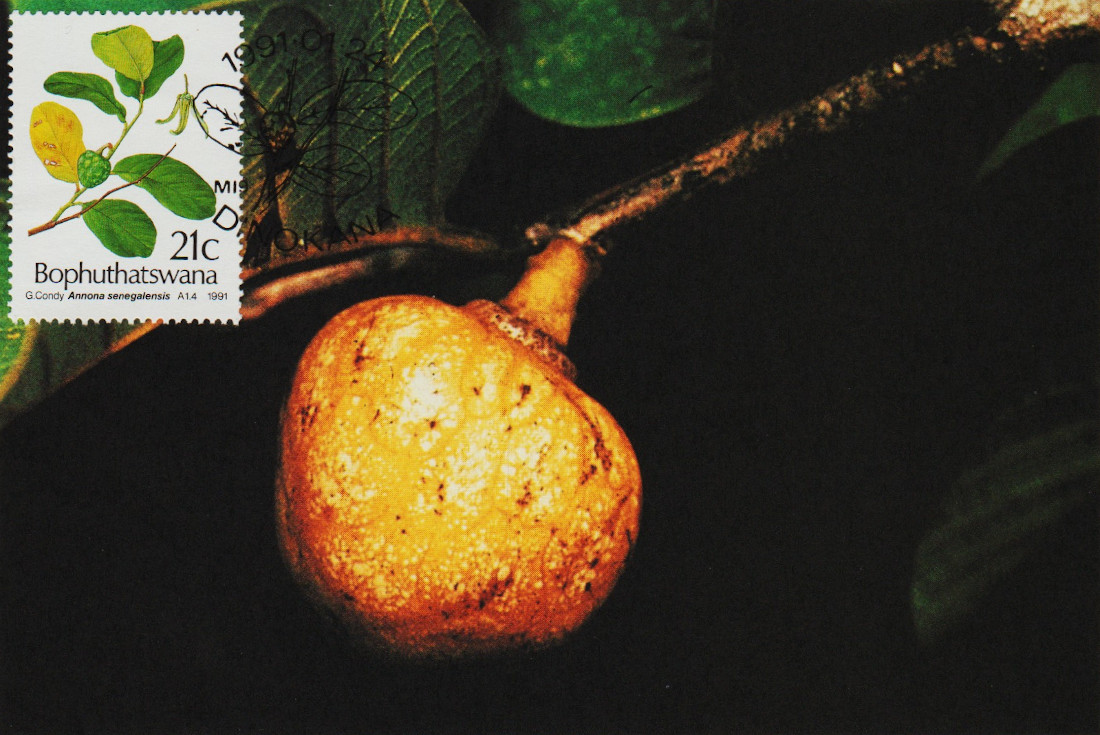 Bophutatswana-Post-Card-12-1991-ZW9