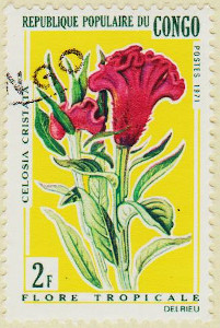 Congo-Brazzaville-259-AW52