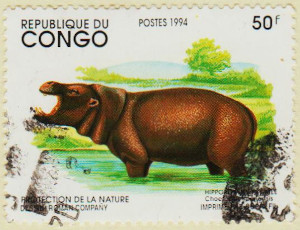 Congo-Brazzaville-Year-1994-AW52