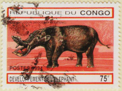 Congo-Brazzaville-Year-1994.1-AW52