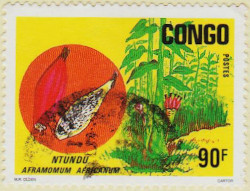 Congo-Brazzaville-Year-1997-AW52
