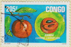 Congo-Brazzaville-Year-1997.1-AW52