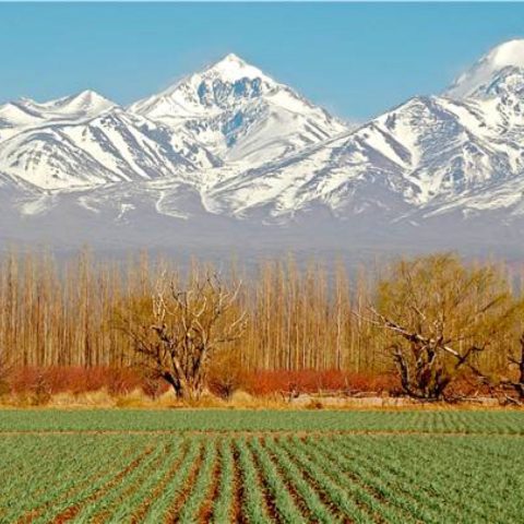 Argentina-The-Pampas