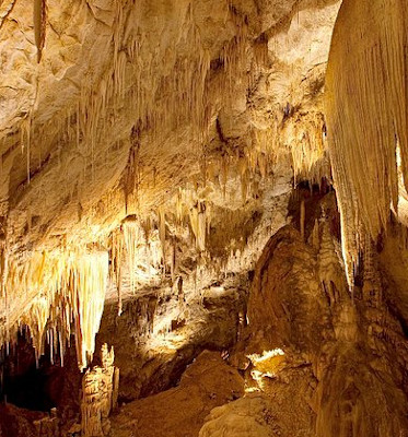 Australia-Hastings-Caves-and-Thermal-Springs-south-of-Hobart-Tasmania.-Newdegate-Cave-is-the-largest-dolomite-cave-in-Australia