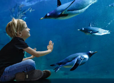 Denmark-Kattegatcentret-Aquarium