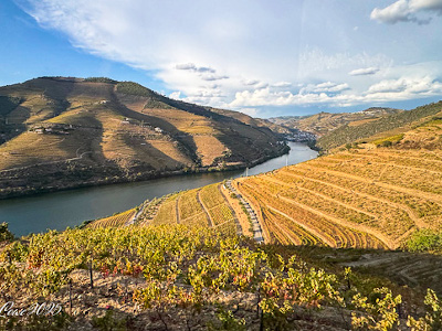 Portugal-Douro-Valley