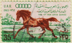 Egypt-859-AW55.1