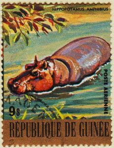 Guinea-972-AW88