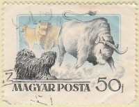 Hungary-1449-AR36