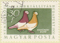 Hungary-1492-AR40