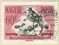 Hungary-1502-AR38