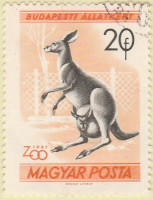 Hungary-1716-AR33
