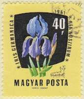 Hungary-1775-AR36