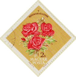 Hungary-1897-AR63