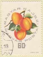 Hungary-2010-AR38