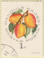 Hungary-2011-AR38