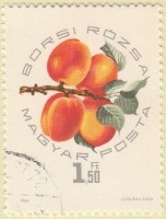 Hungary-2012-AR38