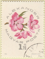 Hungary-2013-AR36