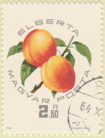 Hungary-2015-AR38
