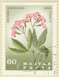 Hungary-2256-AR37