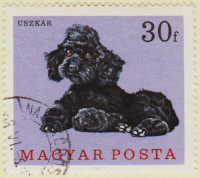 Hungary-2289-AR65
